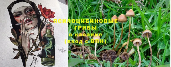 дживик Бородино
