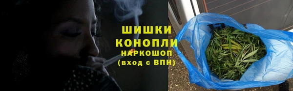дживик Бородино