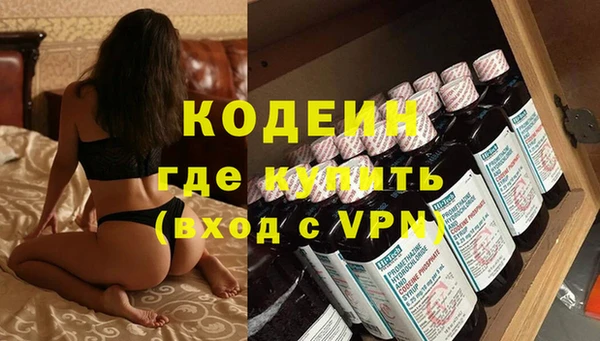 дживик Бородино