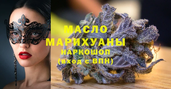 дживик Бородино
