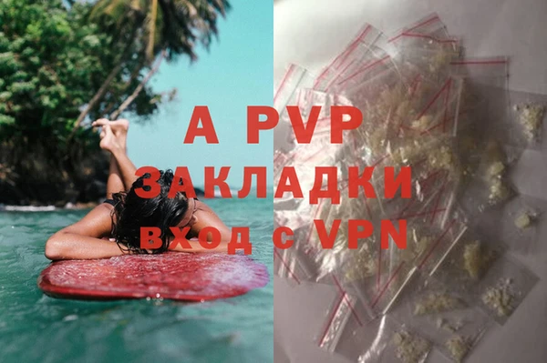 дживик Бородино