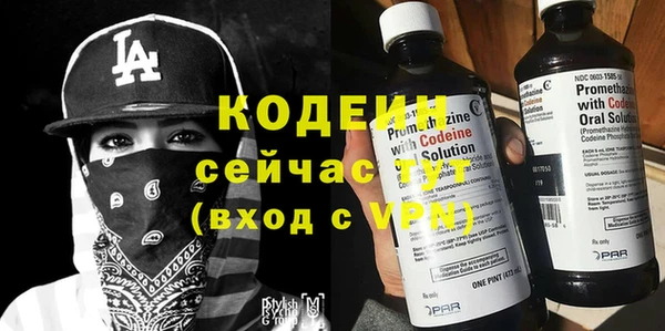 дживик Бородино