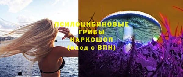 дживик Бородино