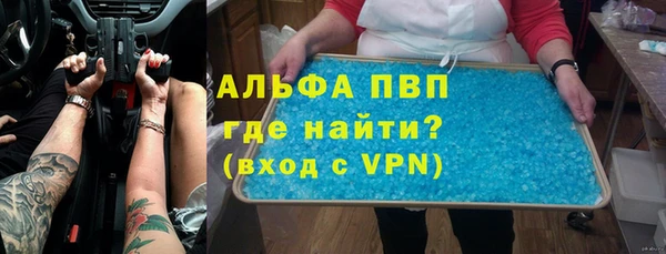 дживик Бородино