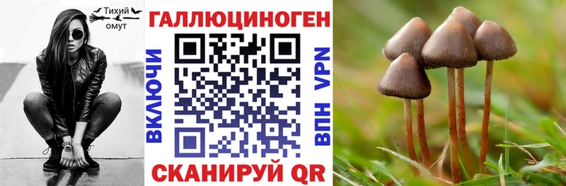 Псилоцибиновые грибы GOLDEN TEACHER  kraken маркетплейс  Михайловск 